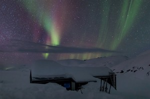 Arctic Cruises - Arctic Sights & Northern Lights 8